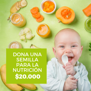 Dona una semilla para la nutrición por 20 mil pesos