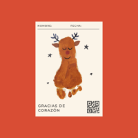 FIde Campaña navidad MS (13)