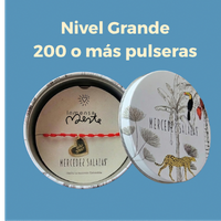 FIde Campaña navidad MS (24)